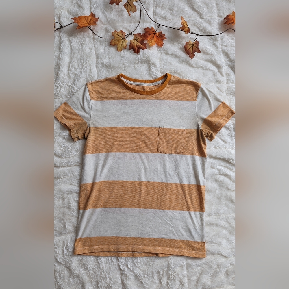 Mens AE T-shirt